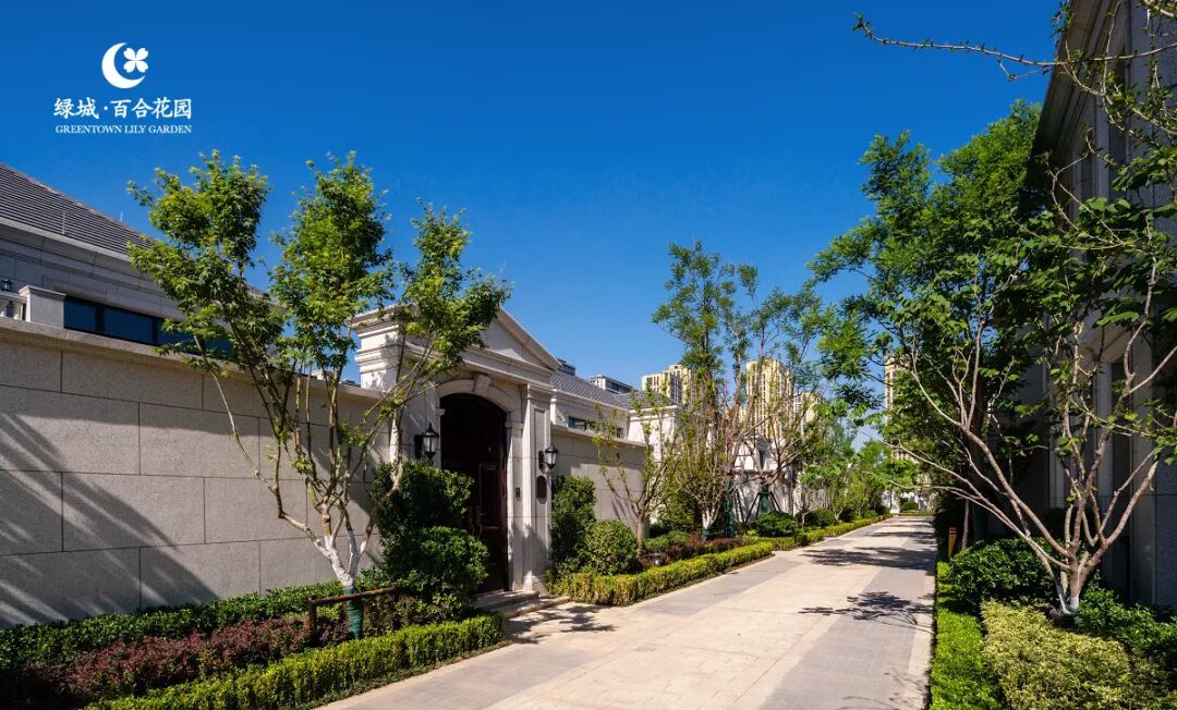 北京玫瑰园别墅视频_北京玫瑰园别墅面积多大_北京玫瑰园别墅