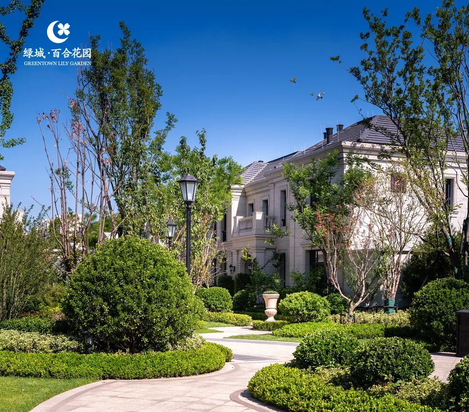 北京玫瑰园别墅面积多大_北京玫瑰园别墅_北京玫瑰园别墅视频