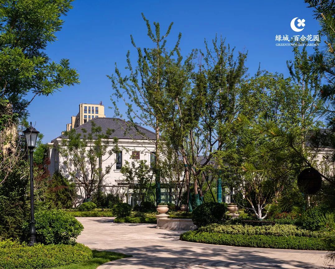 北京玫瑰园别墅_北京玫瑰园别墅面积多大_北京玫瑰园别墅视频