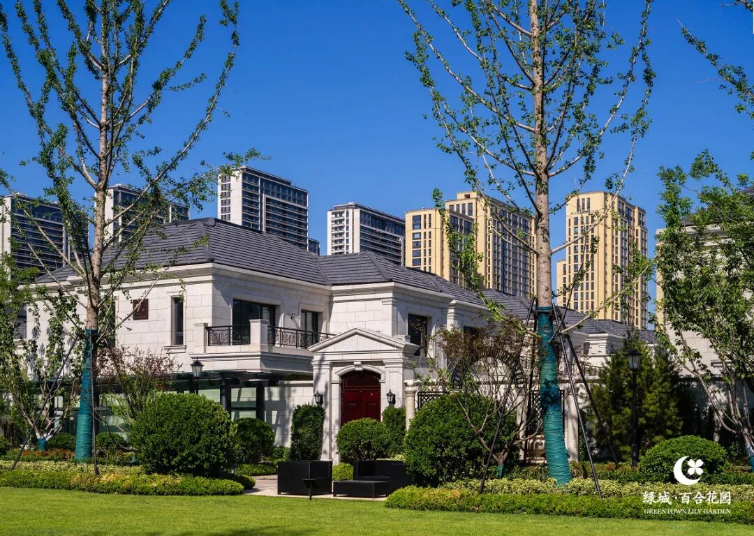 北京玫瑰园别墅面积多大_北京玫瑰园别墅视频_北京玫瑰园别墅