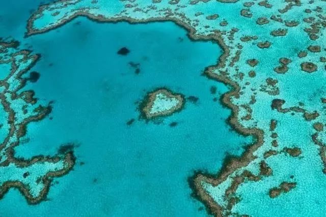 澳大利亞，在碧海藍天間遇見最美海岸 未分類 第26張