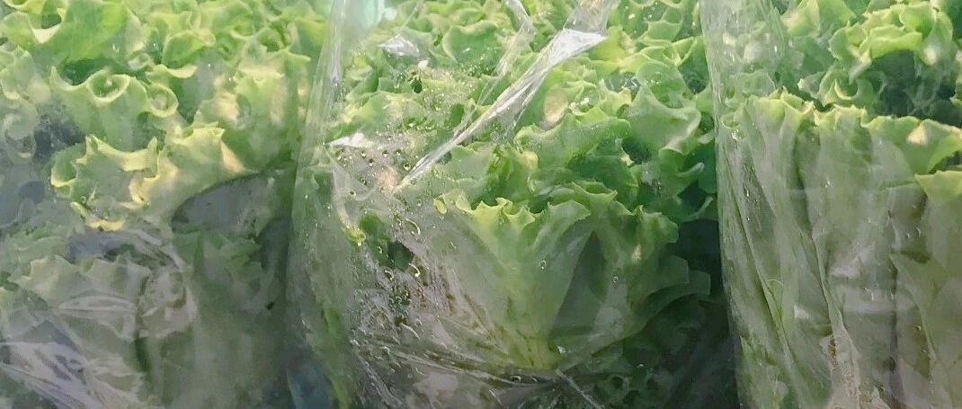 七夕，我建议你试试一辈子单身