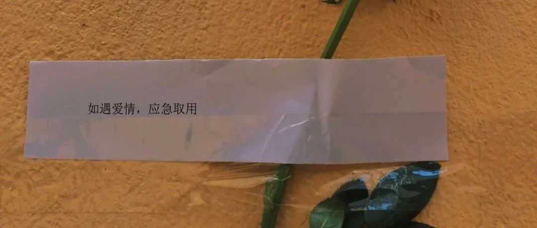 这是你离爱情最近的一次