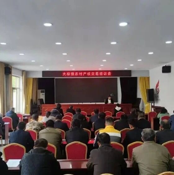 大柳镇:持续推动产权交易 助力乡村振兴