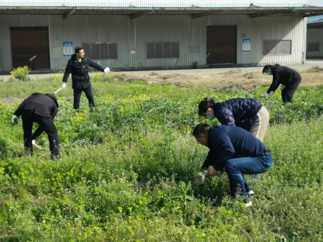 从业人员的5项权利和4项义务_党员义务有几项_党员的责任和义务