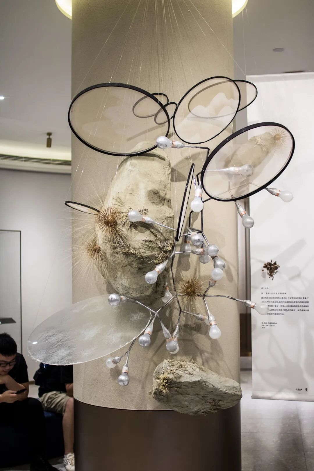 艺术与设计 - 一花一世界:装置艺术家李霁