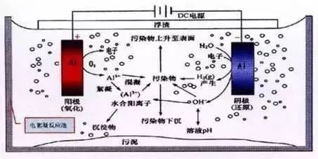 石化废水处理方法和工艺有哪些？特点是什么？的图5