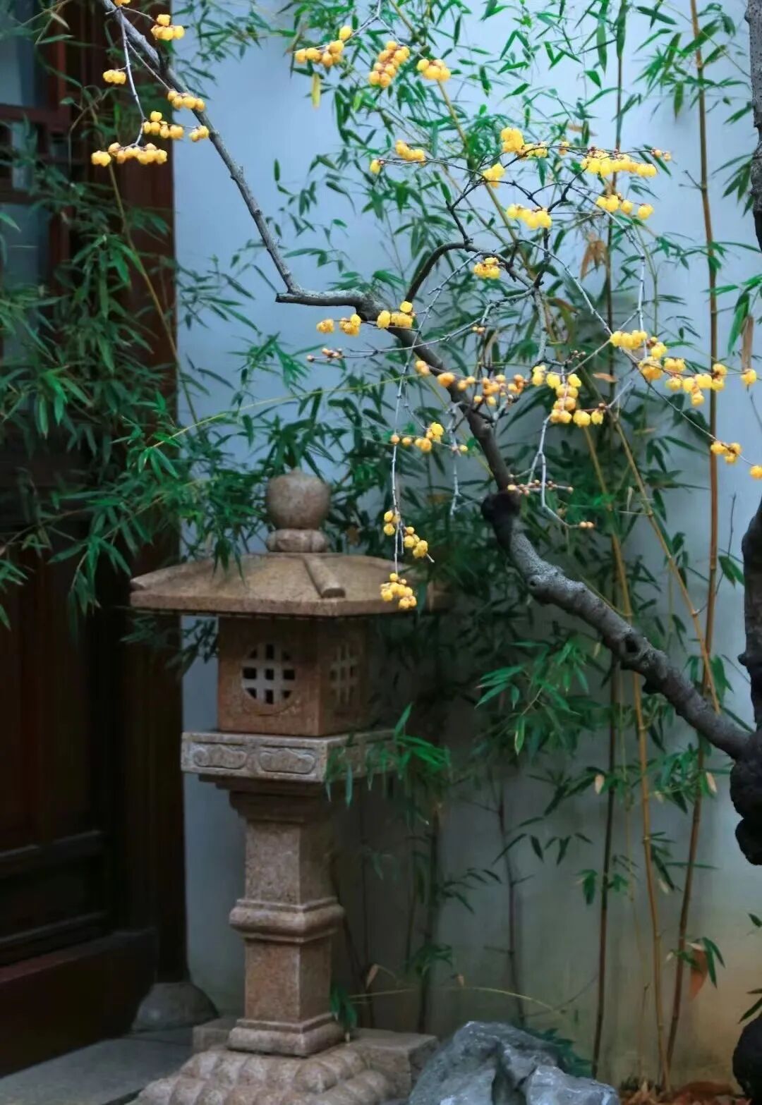 家风一个家的精气神