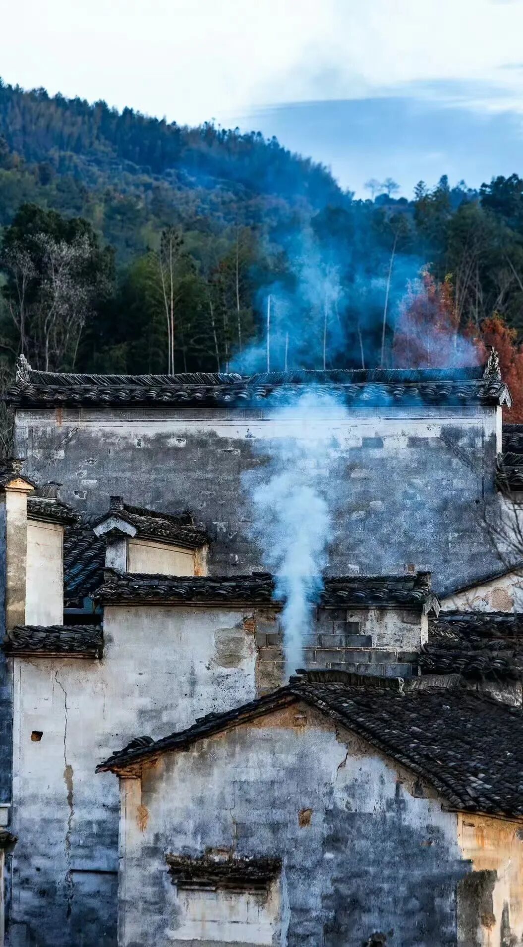 家风一个家的精气神