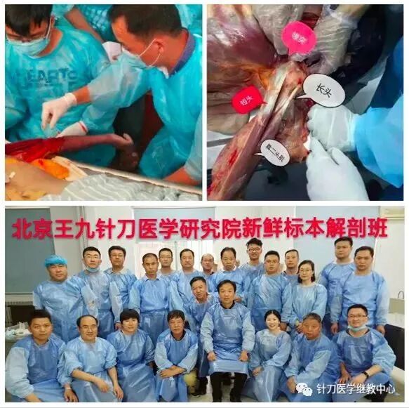 外展枕怎么使用干货 ｜ 针刀治疗要点规程定点定位_https://www.jmylbn.com_新闻资讯_第51张