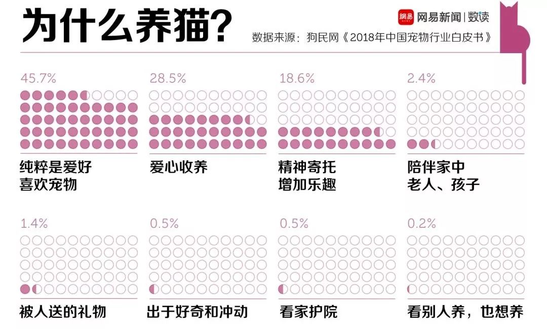 吸貓一時爽，一直吸貓一直爽 寵物 第6張