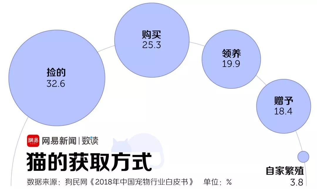 吸貓一時爽，一直吸貓一直爽 寵物 第5張