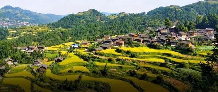 龙塘蝶变一年间：从故乡到家乡