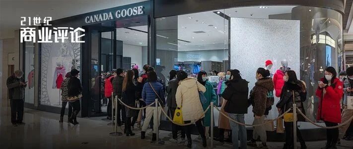 你在街头看到的加拿大鹅，90%是假货！