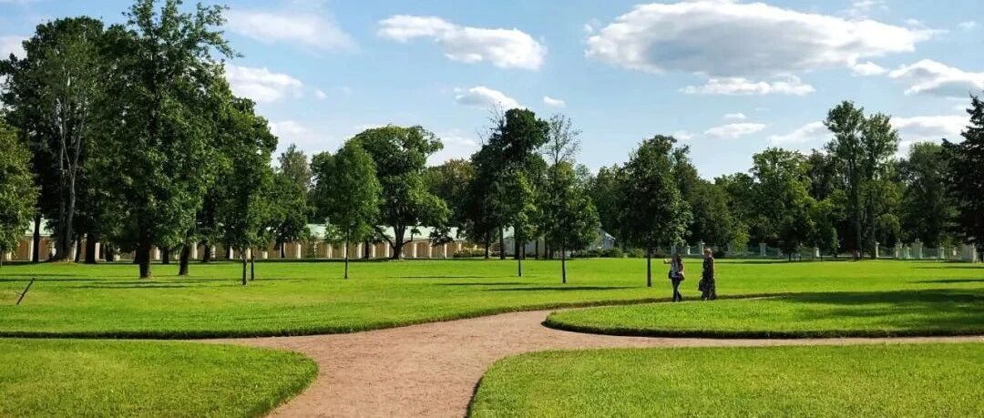 青云直上，鸢梦潍坊