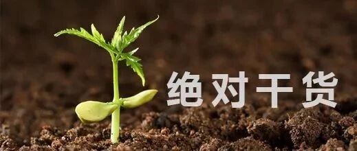 打造爆款内容的7字真言