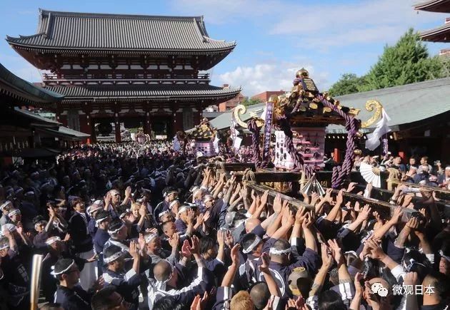 武哥导游 三社祭 日本初夏的狂想曲 微观日本 微信公众号文章阅读 Wemp