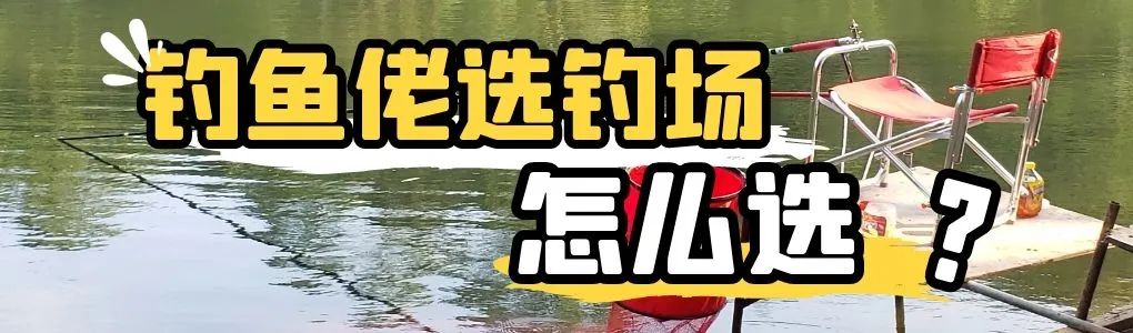 【钓场推荐】广州南沙伟哥垂钓农庄介绍，收费标准及定位