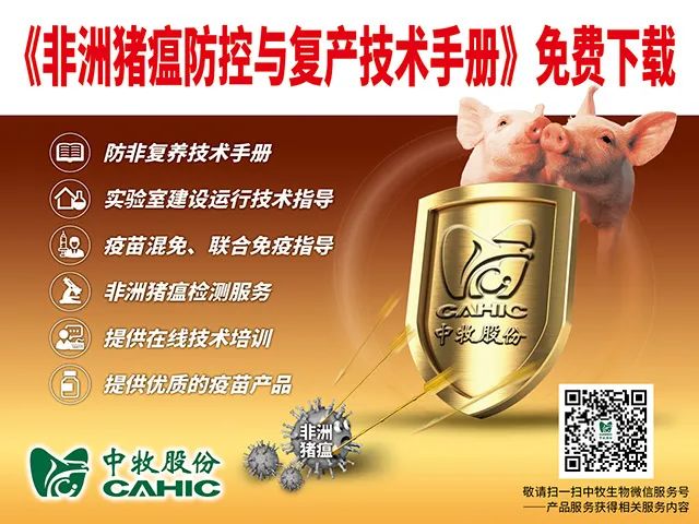 猪肉价格的变动情况及原因_猪肉价格变动的分析总结_我国猪肉价格变动分析
