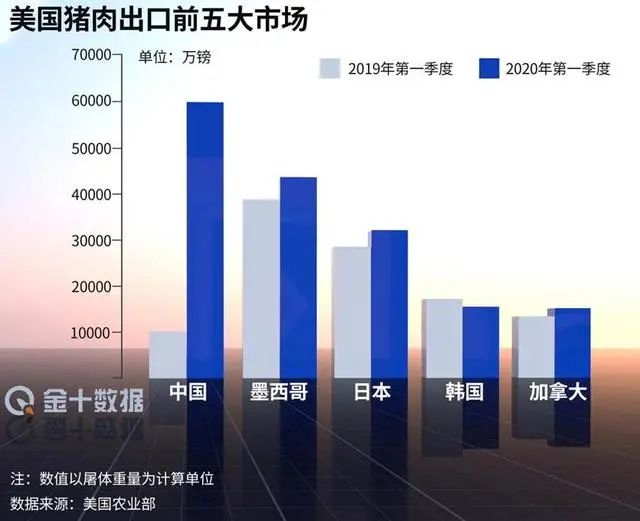 猪肉价格变动的分析总结_我国猪肉价格变动分析_猪肉价格的变动情况及原因