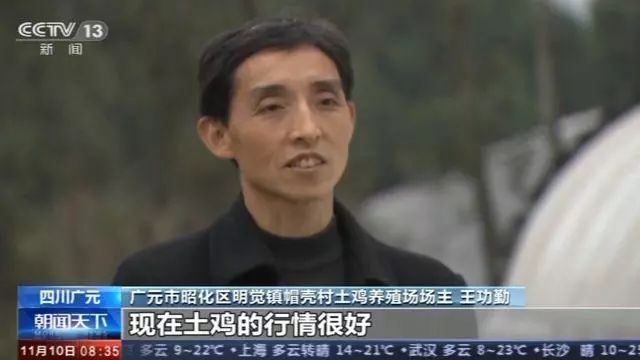 央视：年前出栏200头至少可挣40多万！目前猪场复产情况究竟如何？