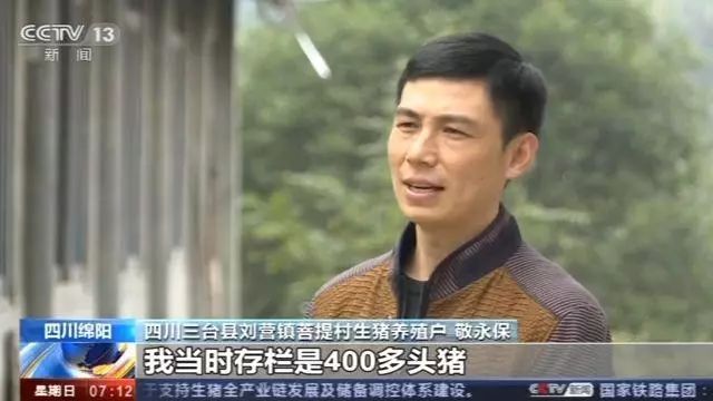 央视：年前出栏200头至少可挣40多万！目前猪场复产情况究竟如何？