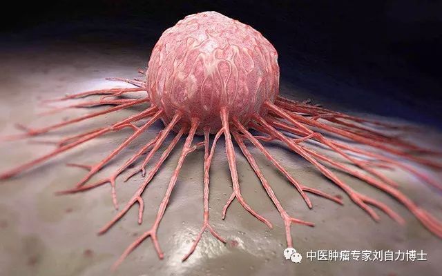 中医肿瘤博士刘自力：患癌症后还能活多久？