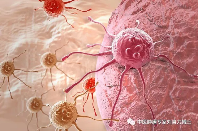 刘自力博士：癌症的早期症状有哪些？如何远离癌症？