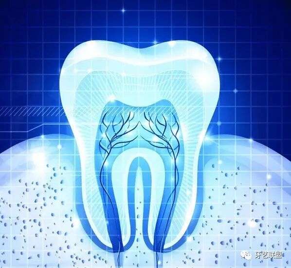 为什么口腔叫手机牙科手机的分类与品牌_https://www.jmylbn.com_新闻资讯_第3张