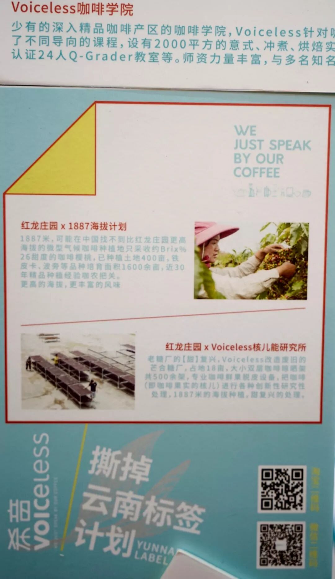 HOTELEX专访| 悉问21家馆主们的咖啡人生「上篇」-咖报咖啡网