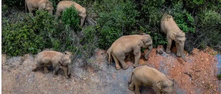 微信公众号毒舌英语 Ds English 最新文章 微信公众号文章阅读 Wemp