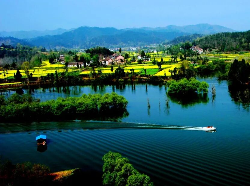 不止百万亩油菜花海汉中还有更多精彩