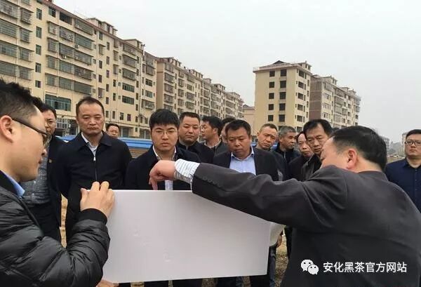 第四届黑茶文化节前期准备工作有序推进中