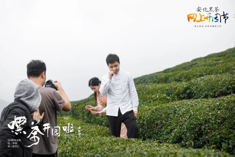 挑战“一口气”唱对28座茶山，你敢来pk一下吗？