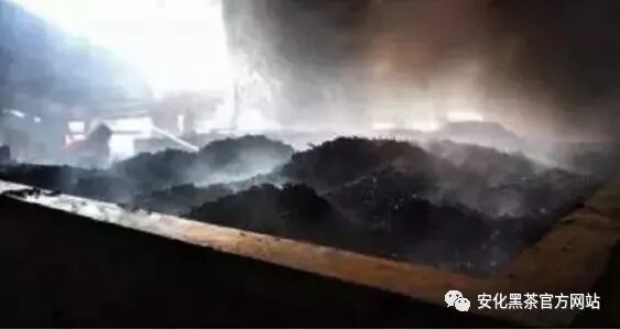 养身顾问赖汝和先生讲安化黑茶——初探安化黑茶药理特性的源头“