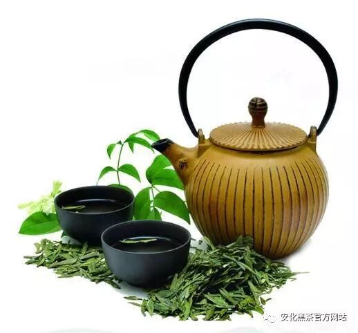华莱健“万里茶道”上的对话