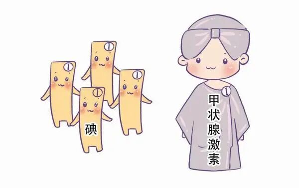 尿碘怎么测碘，到底是多了还是少了，尿碘检测有办法_https://www.jmylbn.com_新闻资讯_第4张