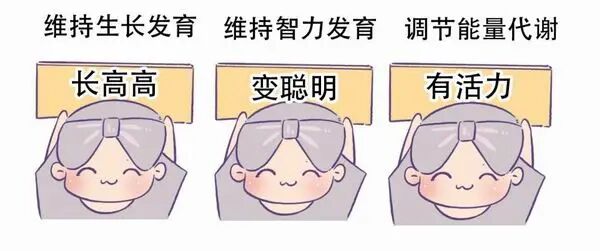 尿碘怎么测碘，到底是多了还是少了，尿碘检测有办法_https://www.jmylbn.com_新闻资讯_第5张