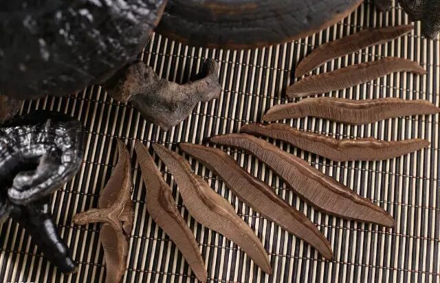 抗癌、防疾提升免疫力是关键！灵芝调节免疫力有高招！