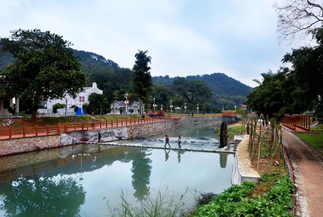 奋勇争先郁南桂圩全力推动镇域经济高质量发展