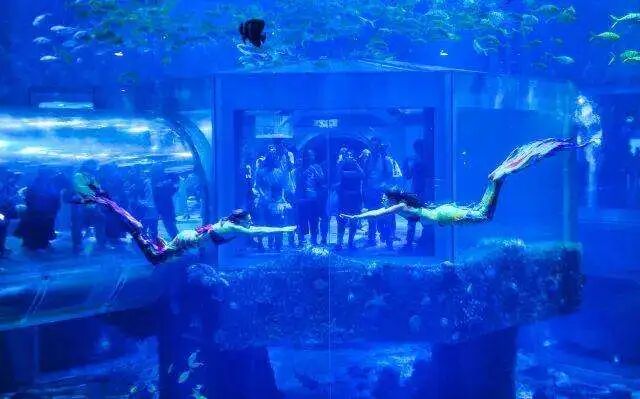 寿司diy暖场活动_夏天暖场活动_楼盘暖场活动房地产暖场活动