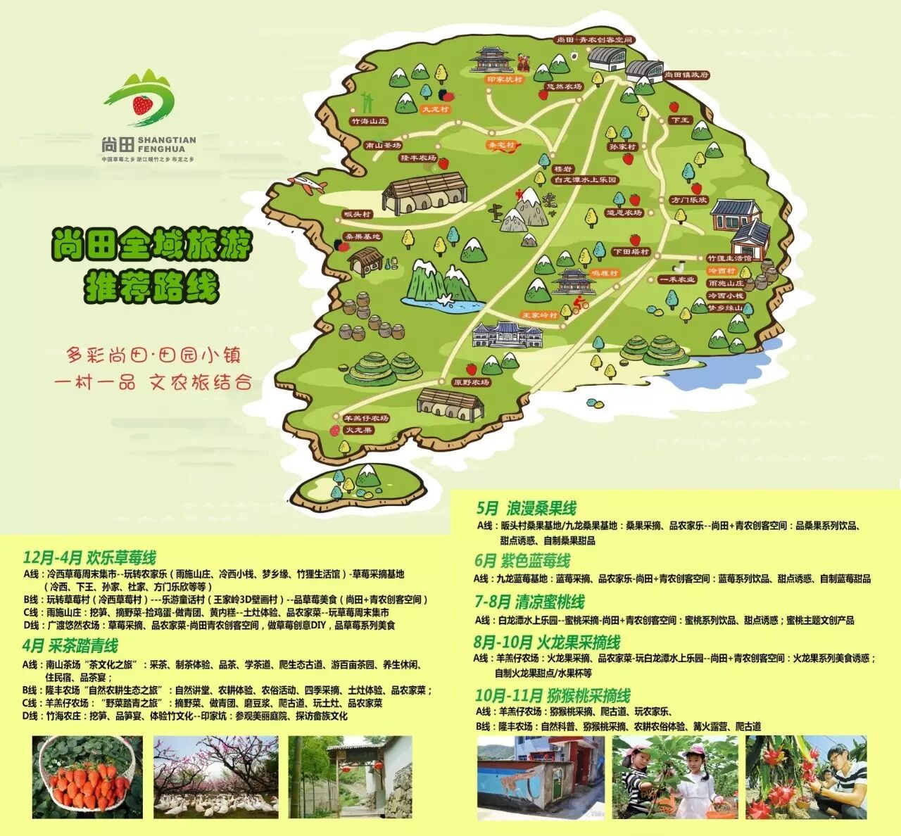 一山一水一茶,一些欢喜.春风十里品香茗,奉化尚田,最美茶园等你