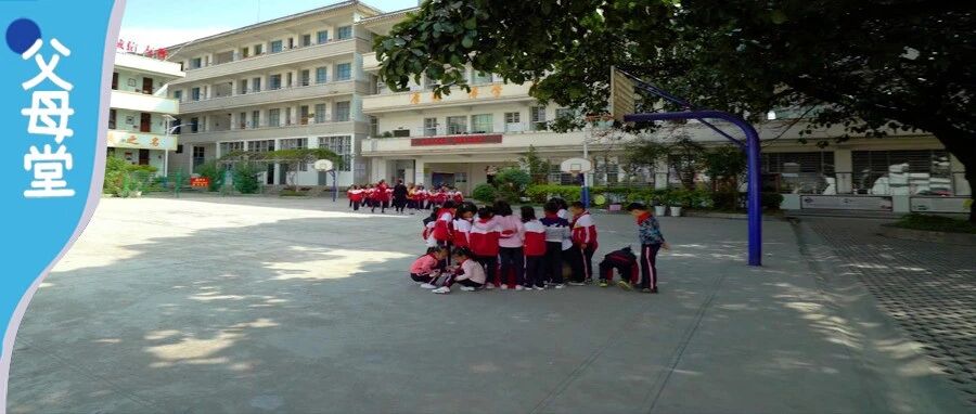 民办又一次收紧？民办招生人数限制在5%以内！网友：民办真的要终结了？