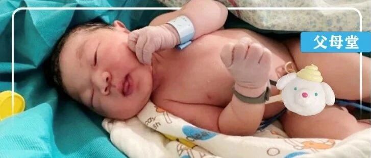 这对学前教育硕士+博士夫妻，开启了他们的“育儿观察”