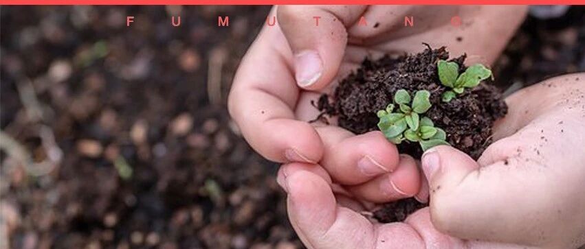 又有孩子跳楼！终于，我用“一只鸡蛋”，让孩子懂得珍惜生命