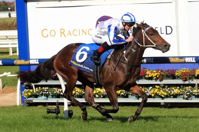 马术 骑马 赛马 636_424