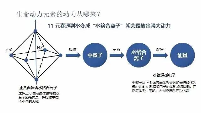 《内经》和《难经》里常说的“三个重大命题”是什么？(图4)