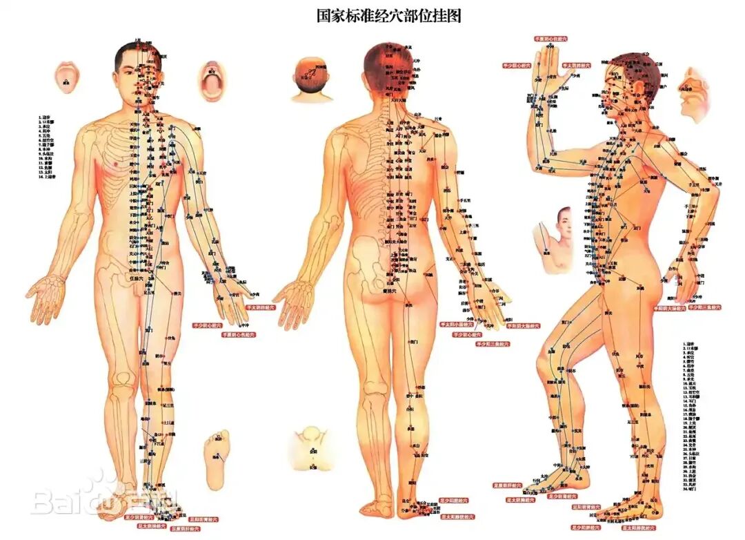 任督脉的穴位数为何不影响三阳三阴和开阖枢顺序？(图1)
