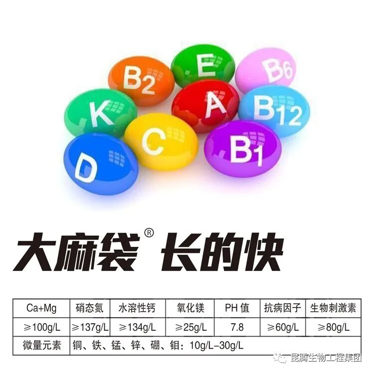 复合微生物菌肥厂家直销