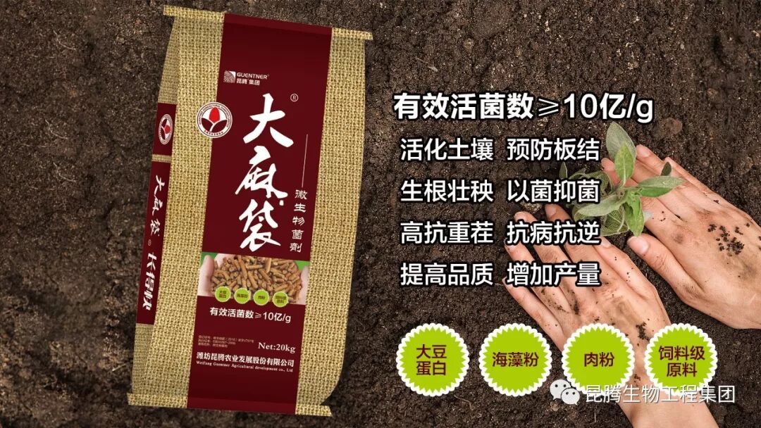 复合微生物菌剂厂家直销